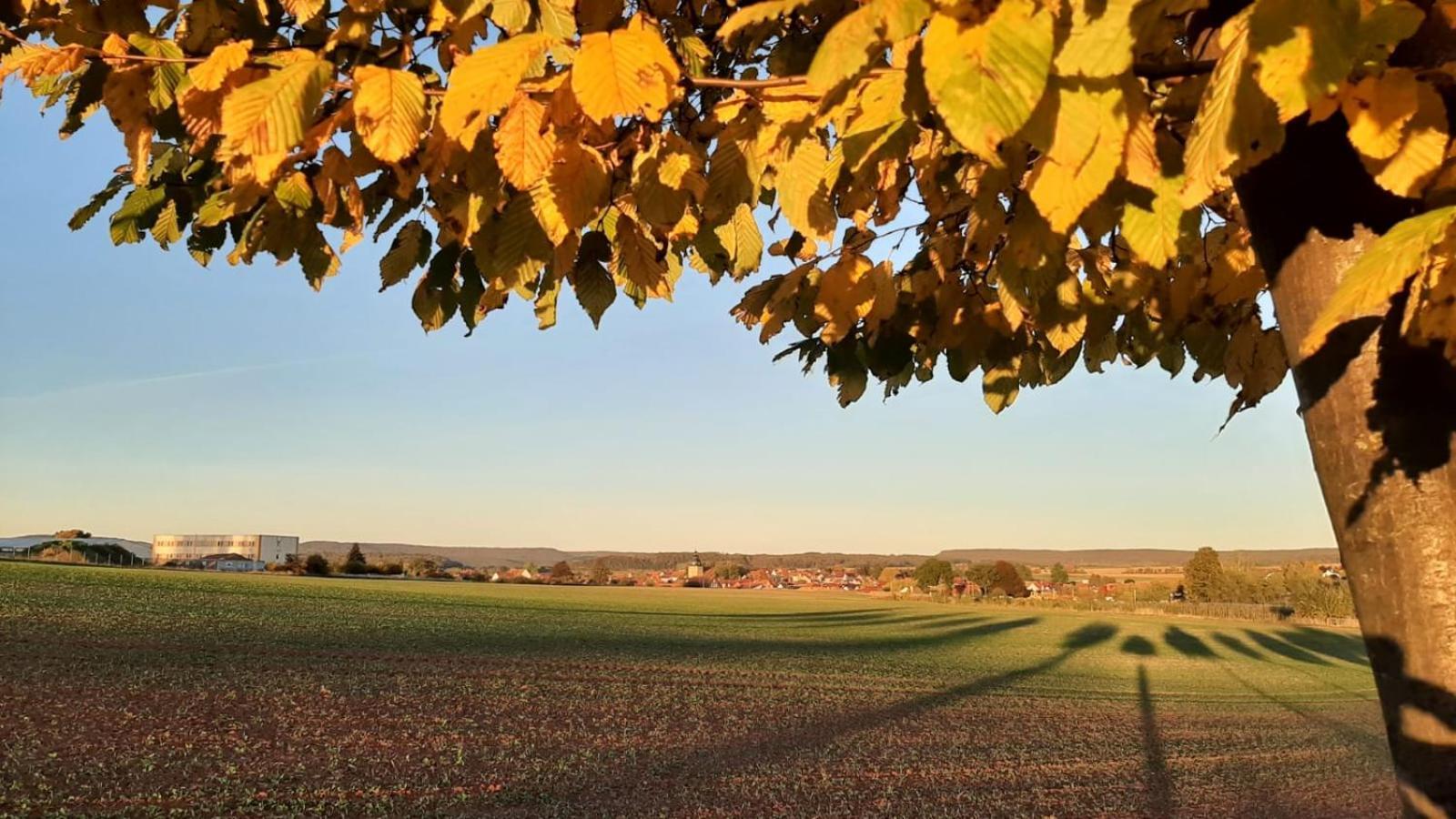 Stilvolle Ferienwohnung Im Eichsfeld Niederorschel ภายนอก รูปภาพ